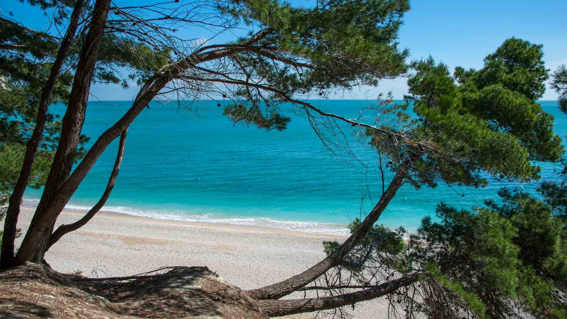 Spiaggia San Michele e dei Sassi Neri Sirolo Spiagge